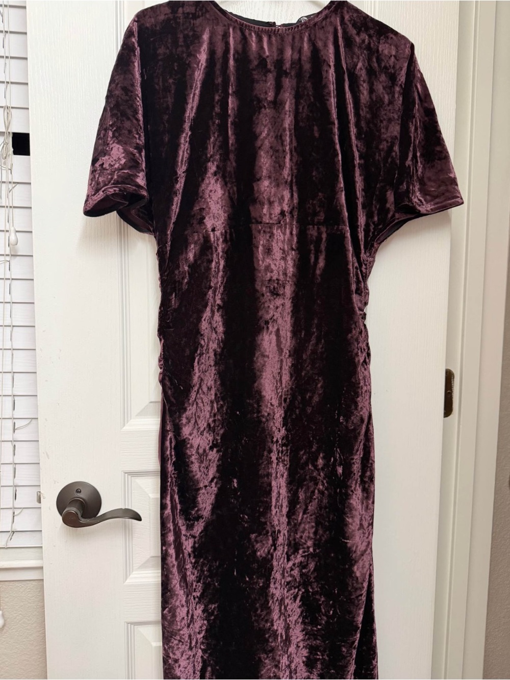 Zara Velvet Maxi Dress in Brown